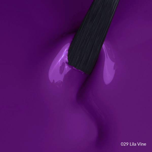 029 Lila Vine
