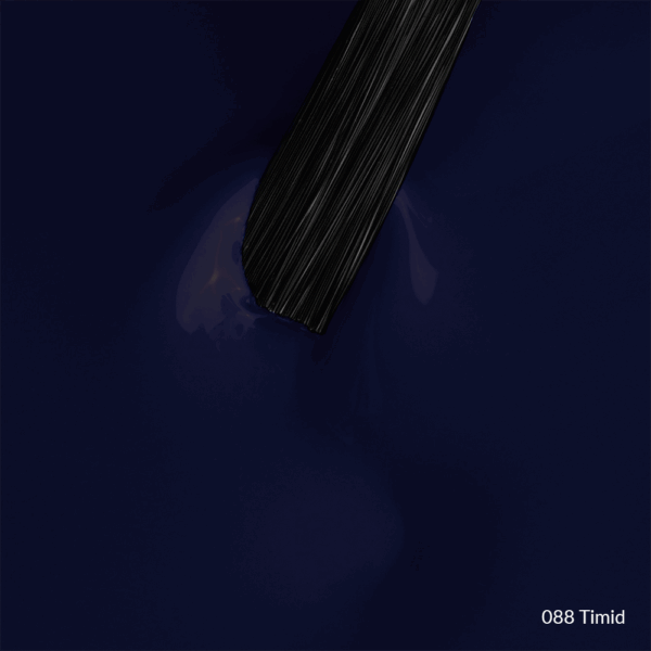 088 Timid