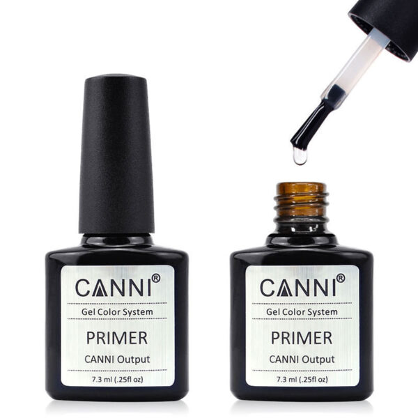 c-primer.jpg