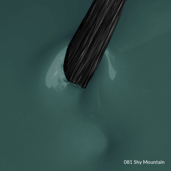 081-Shy-Mountain-1.png